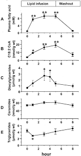 0.1 mi1 health cir lexington, va 24450 0.1 mi. Mechanism By Which Fatty Acids Inhibit Insulin Activation Of Insulin Receptor Substrate 1 Irs 1 Associated Phosphatidylinositol 3 Kinase Activity In Muscle Journal Of Biological Chemistry