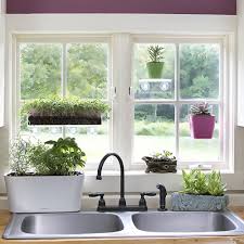 Make the most of a large bay window with a tall plant shelf. Indoor Plants Garden Seed Starter Large Strong Suction Cup Acrylic Window Shelf Buy Acrylic Window Shelf Suction Window Shelf Indoor Plant Shelf Product On Alibaba Com