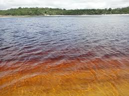Er zijn helaas geen tours en activiteiten beschikbaar om online te boeken op de data die u heeft geselecteerd. A Cor Da Agua Foto De Lagoa Da Coca Cola Baia Formosa Tripadvisor