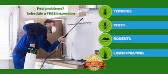 Pest control clearwater | the swat exterminating philosophy. J D Smith Termite Pest Control Home Facebook