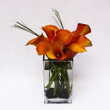 Free Delivery San Francisco Bay Area Florist Summer Flower Arrangements Flower Arrangements Beautiful Flower Arrangements