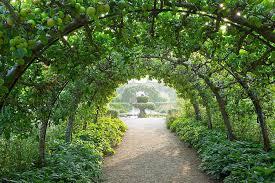 Tour Highgrove S Magnificent Gardens Highgrove Garden English Country Gardens Country Gardening