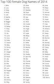 A cute dog deserves a cute name fit to perfection. Cute Dog Names Female Cuteanimals