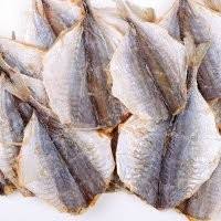 Ada fakta menarik dari ikan flowerhorn (nama lain dari ikan louhan). Hindari Kebiasaan Makan Ikan Asin Yang Terlalu Sering