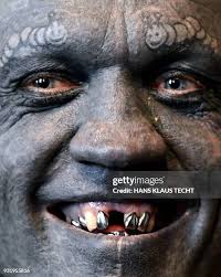 256 Gregory Wein Photos & High Res Pictures