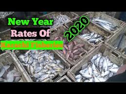 Latest Rates Of Fish Prawn Crab Lobster Karachi Fishery Market On 1st Jan 2020 Youtube Glaxy exchange (pvt.) ltd forex broker from pakistan offers best forex rate different forex rates karachi galaxy: latest rates of fish prawn crab lobster karachi fishery market on 1st jan 2020