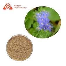 Image result for Cyanotis arachnoidea