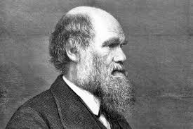 10 Awe-Inspiring Facts About Charles Darwin
