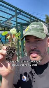 My secret weapon for starting seeds..