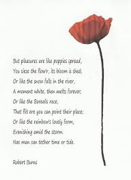 And Then There Is Robert Burns Many The Roberts That I Love Robert Burns Burned Quotes Beautiful Words