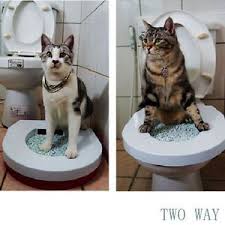 貓砂盆馬桶上的貓砂盆5折特價健康省錢革命性cat litter box 好神貓環保兩用貓砂盆mit台灣精製 cats