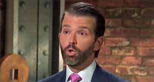 Donald Trump Jr. wants to become head of the NRA