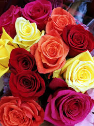 Bouquet wedding top view background red flowers three red roses on white background rose bouquet red rose bouquet isolated red beautiful roses roses on top roses watercolor roses red bridal bouquet. Colorful Roses Flower Flowers Love Red Red Roses Rose Rose Bouquet Hd Mobile Wallpaper Peakpx