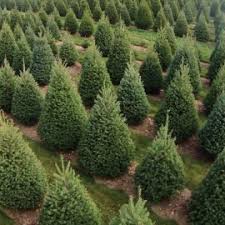 Daca aveti varsta maxima de 58 de ani, va oferim locuri disponibile la cules ardei si rosii in sere.se poate pleca… Locuri De Munca Danemarca