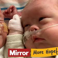 Miracle twins born at 22 weeks with 'no chance' of survival finally go home 