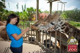 Maybe you would like to learn more about one of these? Zoo Tampa At Lowry Park Florida Youth Conservation Centers Network