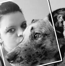 Bussy Wassereis 200 Stück und Bussy Kratzeis 40 Stück für je nur 9.99 € OMG  Siglitos 12 Riesen Wassereis nur 0.99 cent