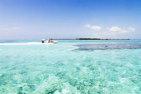 Oferte 2019 2020 Vacante Exotice In Caraibe