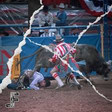 Image result for Pink Frost 1988 Colt