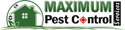 Pest control service dhaka bangladesh cockroaches control service termite control service rodent control mosquito control bed bug control service in dhaka. Maximum Pest Control Services Affordable Pest Control Solutions