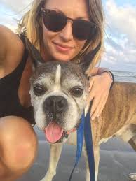 Doberman with unique personality traits