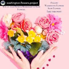 Unc chapel hill hospital flowers. Episode 416 North Carolina Grown With Bowerbird Flowers Apothecary Floral And Flourish Flower Farm Debra Prinzing
