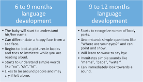 Baby Brain Development Stage 6 12 Months Superbaby