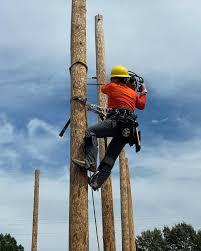 Just searching for The Endless Summer☀️🌴