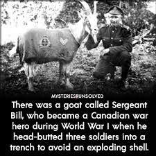 44 Weird And Unknown Facts From The World Wars Era Mysteriesrunsolved Unbelievable Facts Fun Facts War Heroes