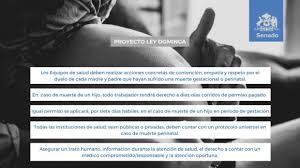 Ley dominga fue aprobada por unanimidad por la cámara de diputados y ahora pasará a senado teniendo muchas esperanza que sea prontamente promulgada. Ley Dominga Sobre Acompanamiento De Madres Y Padres Que Han Sufrido Perdida Gestacional Se Abre Paso A La Sala Senado Republica De Chile
