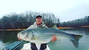Lake Allatoona Fishing Report: August 6, 2019 - Coastal Angler & The Angler  Magazine
