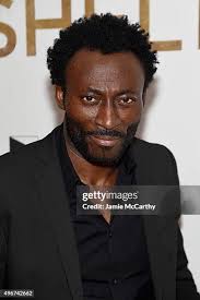 1,695 Babs Stock Photos, High-Res Pictures, and Images