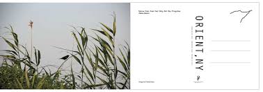 Paola ferrario's attention often focused on the unlovely, wrecked or altered surfaces, is the stuff poems are made of. Home