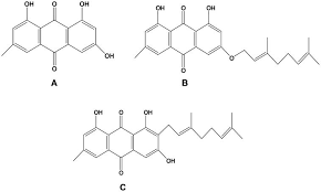 Image result for Psorospermum febrifugum
