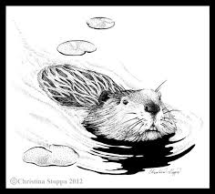 Beaver Swimming By Qiu Ling On Deviantart Beaver Drawing Illustration Art Animal Drawings