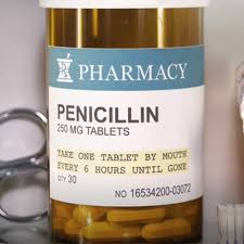 Image result for Penicillin