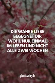 Die Wahre Liebe Begegnet Dir Wohl Nur Einmal Im Leben Und Nicht Alle Zwei Wochen Wenn Du Mehr Tolle Spruche Willst Fo Spruche Lustige Spruche Wahre Worte