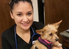 Maybe you would like to learn more about one of these? Tech Ridge Pet Hospital Austin Veterinary Hospital