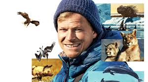 Animals Up Close With Bertie Gregory: Series 1 Episode 3 Botswana Wild Dogs  : ABC iview