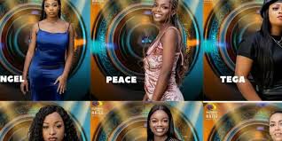 Yesterday, 24th july 2021, we witnessed the introduction of 11 male housemates into the big brother naija house for the season 6 edition of the reality show (bbnaija), tagged 'shine ya eye'. Wdeyurdkm5l50m