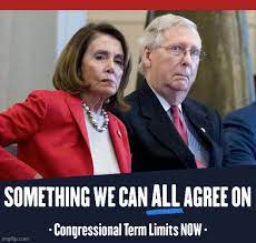Politics Term Limits Memes Gifs Imgflip