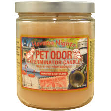 Pet odor eliminators for carpets should safely neutralize the smell so pets are discouraged from relieving themselves in the same spot. Pet Odor Exterminator Candle Havana Nights 13 Oz On Sale Entirelypets Rx
