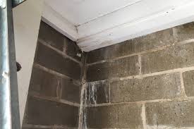 Searching for an underground water leak. Building Water Leaks Remedial Building Services