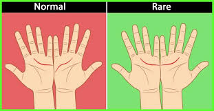 What Do Your Palm Lines Tell You Weird Facts Wtf Fun Facts Teenager Posts Funny