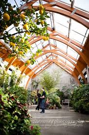 Greenhouse Perfect For Winter Wedding Engagement Photographer Boylston Ma Engagement Greenhouse Wedding Greenhouse Venue Tower Hill Botanical Garden