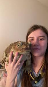 What color accessories go well with a Frosty Pearl Jeep?