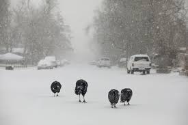 Because of its elevation, wyoming has a relatively cool climate. Temperatures Plunge Across Wyoming Wind Chills Of Minus 30 Forecast Casper Trib Com