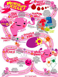 Menstrual Flow Chart Coolest Thing Weve Seen All Week