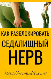 почему мы болеем и что нужно для укрепления здоровья Kak Razblokirovat Sedalishnyj Nerv Sedalishnyj Nerv Zdorove