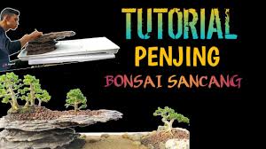 Bagi penggemar bonsai penjing, berikut ini adalah beberapa inspirasi bonsai gaya penjing atau lanscape atau panorama internasional yang sangat bisa. Download Bonsai Penjing Mp3 Mp4 3gp Flv Download Lagu Mp3 Gratis